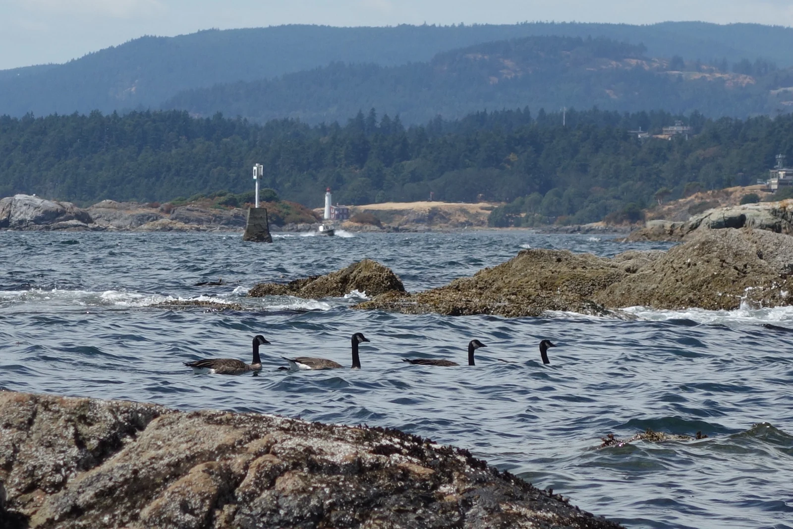 Rocky shoreline and coastal mountains